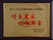 2008-5��ɽ���ƻ���5.12�봨������־�������