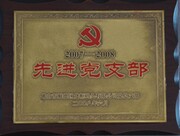 2008-6�Ƚ���֧��