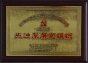 2008�й��ݹ�ֵ��Ƚ���㵳��֯